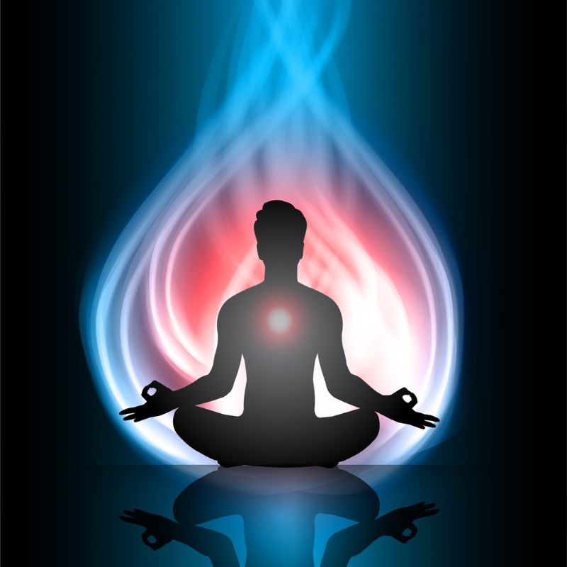 Yoga Retreat in India